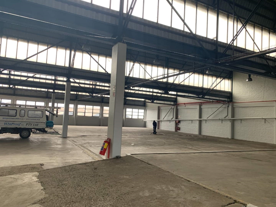 To Let Commercial Property for Rent in Paarden Eiland Western Cape